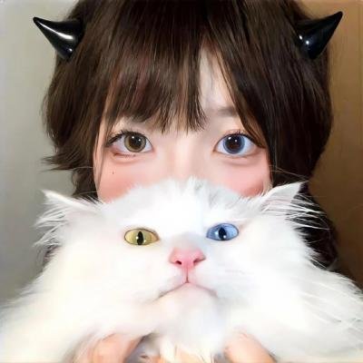 乱马12：中国昆仑大决战！破坏计划之激斗篇！！